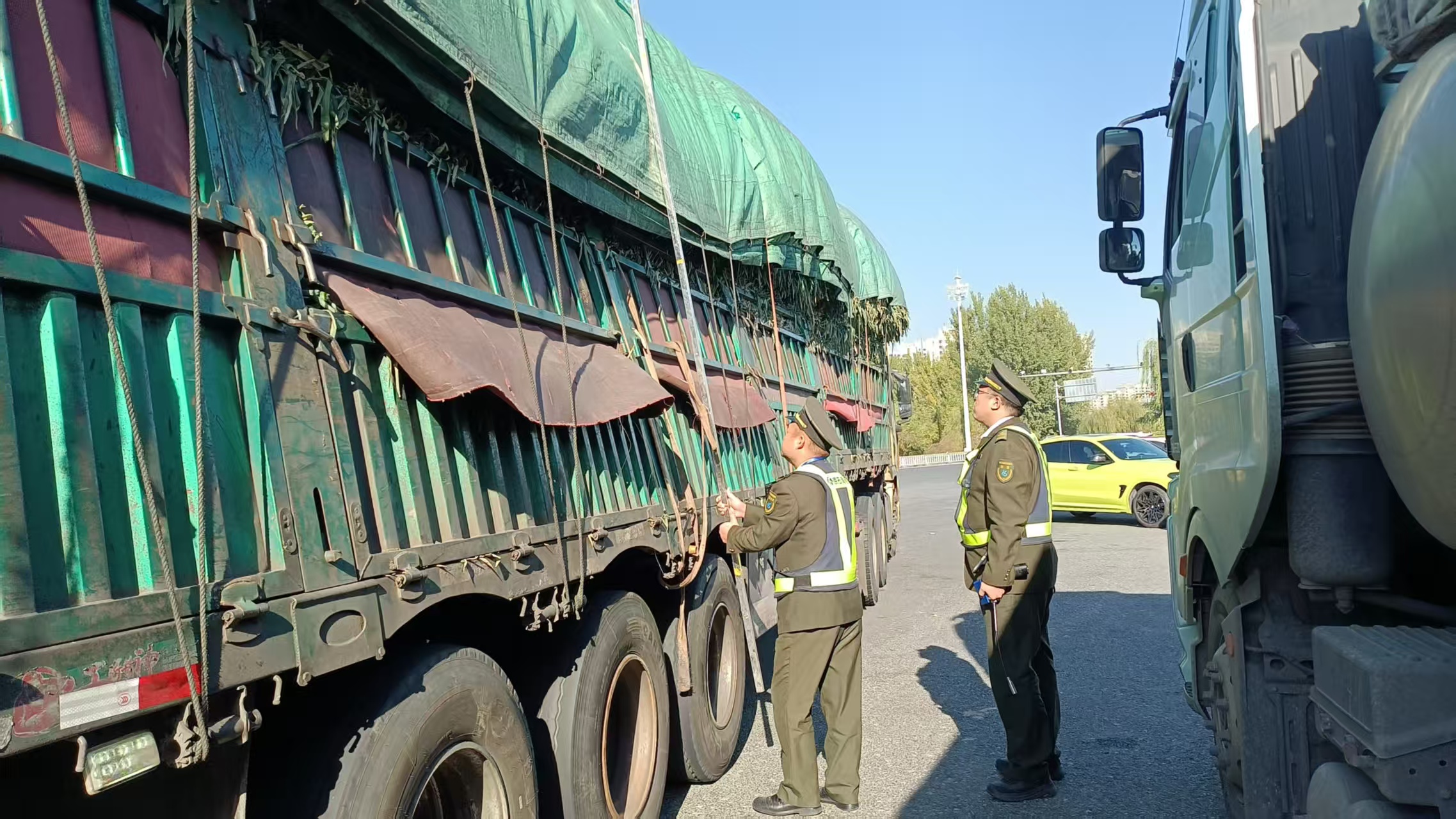 6541431e163a0601846c2665846f8cb6.jpg 6541431e163a0601846c2665846f8cb6.jpg